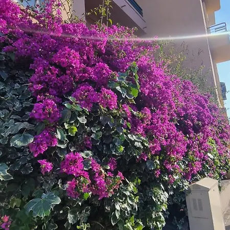 Apartment Charmant 70 M2 Coeur De Nice